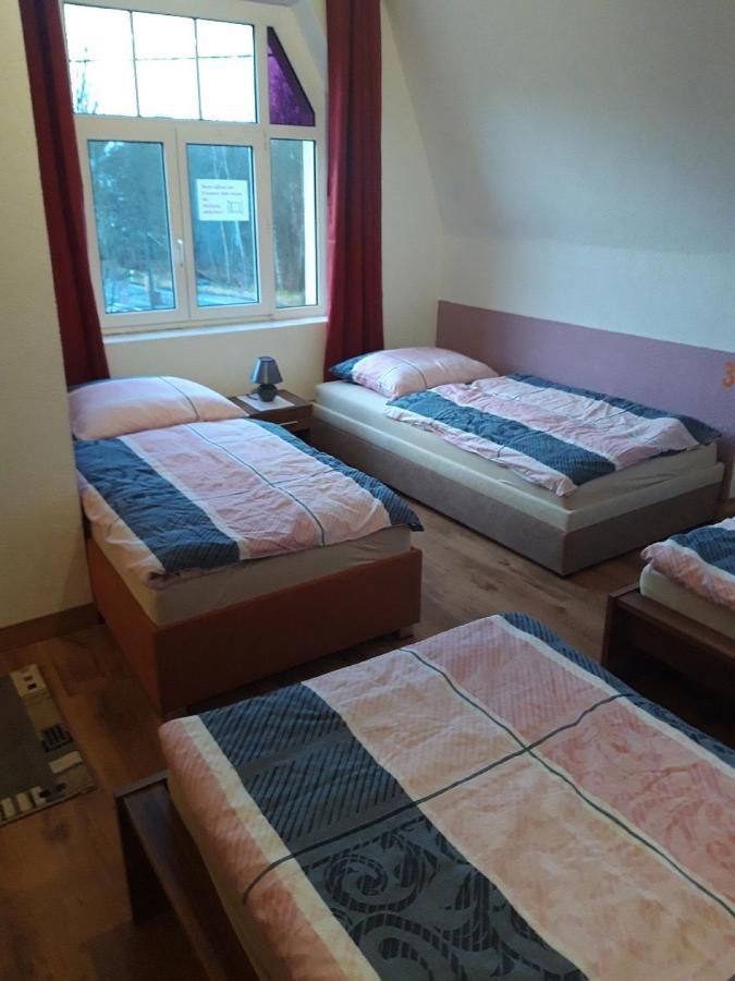 Ferienwohnung Erz-Hostel Thermalbad Wiesenbad Экстерьер фото