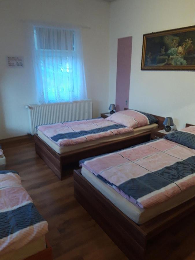 Ferienwohnung Erz-Hostel Thermalbad Wiesenbad Экстерьер фото