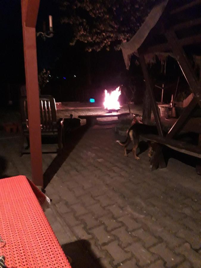 Ferienwohnung Erz-Hostel Thermalbad Wiesenbad Экстерьер фото